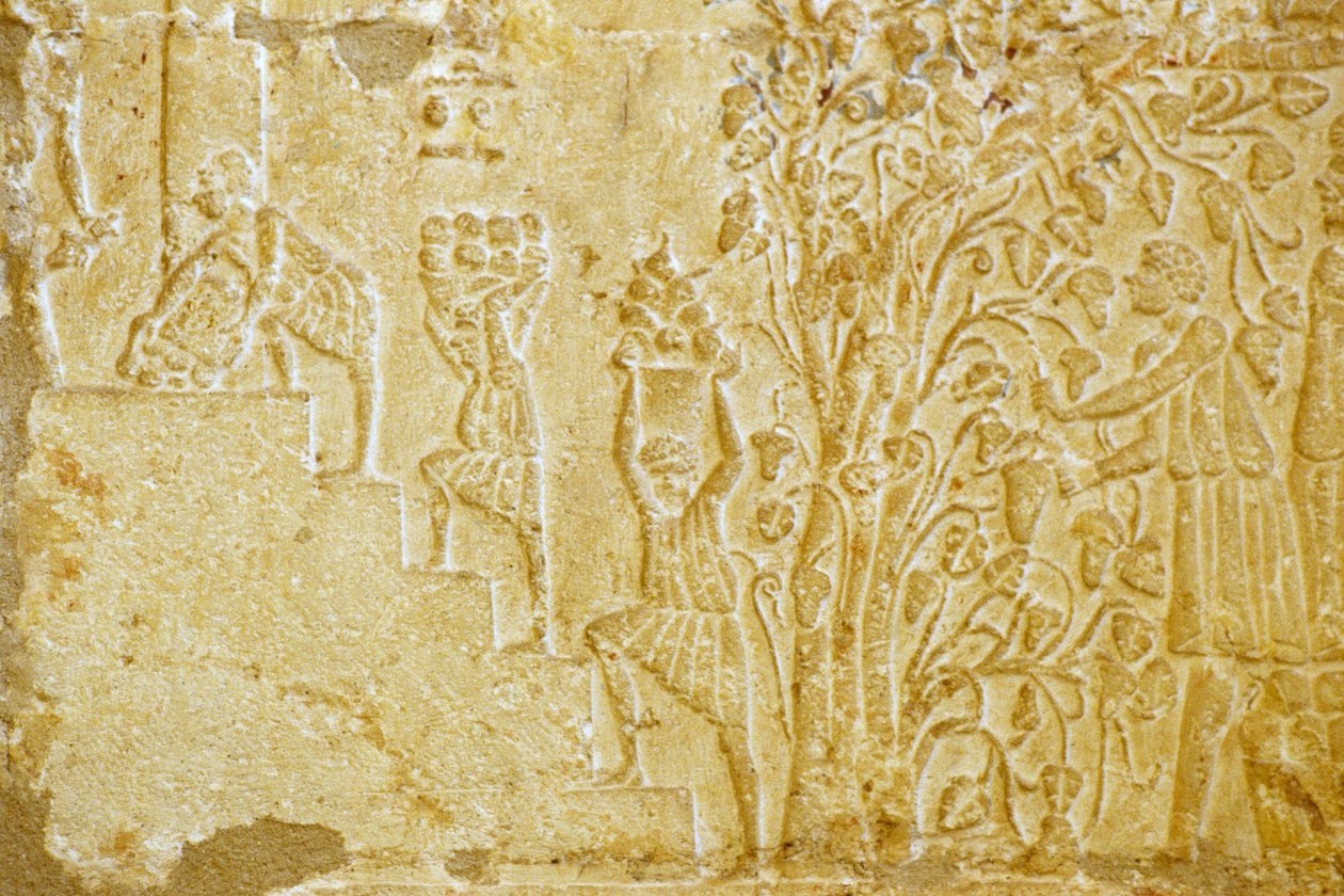 Antico Egitto, Incisione murale, Tomba di Petosiris, Tuna el Gebel, 300 a.C., Trasporto dell