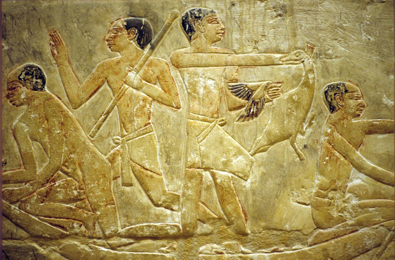 Antico Egitto, Incisione murale/pittura, Mastaba/Tomba di Idout, Saqqara, Cattura di uccelli nella palude, VI Dinastia (foto) da School Egyptian