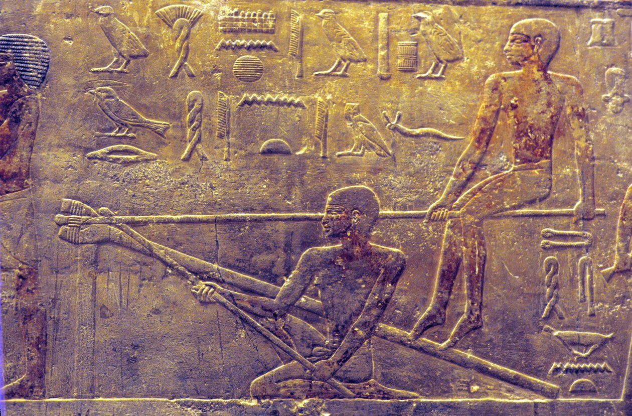 Antico Egitto, Pittura/Scultura murale, Mastaba/Tomba di Ti, Saqqara, V dinastia, Costruzione di navi da School Egyptian