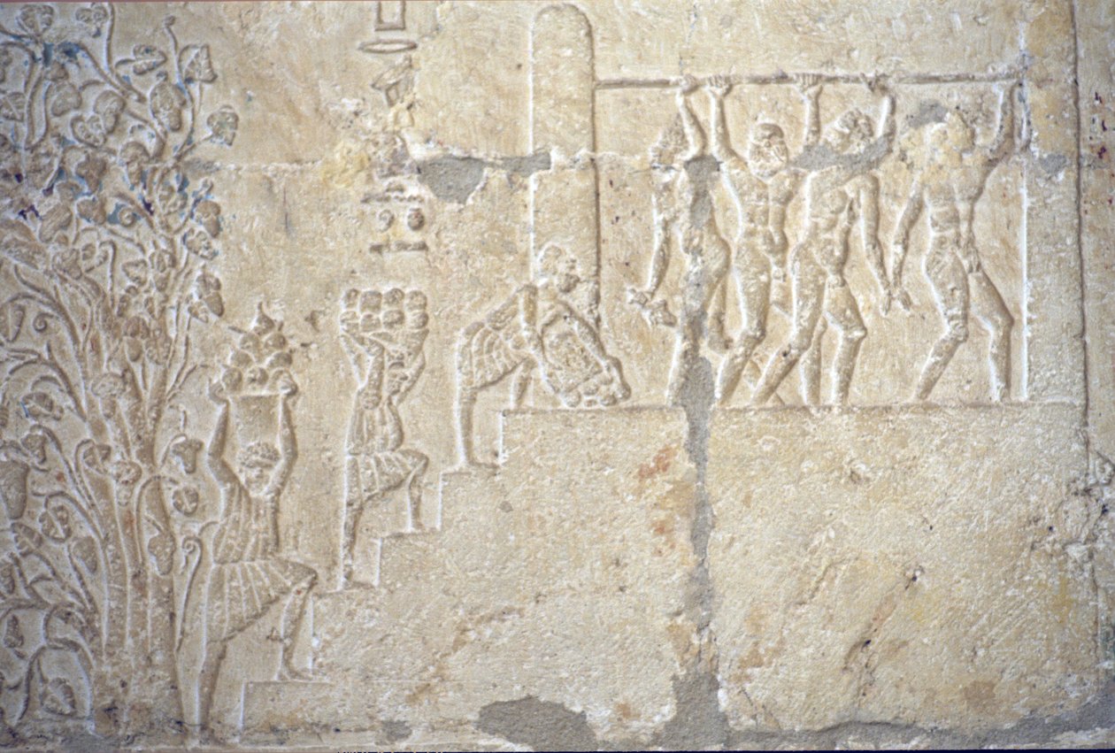 Antico Egitto, Scultura/pittura murale, Tomba di Petosiris, Tuna el Gebel, 300 a.C., Vendemmia, Produzione del vino, Torchio da School Egyptian