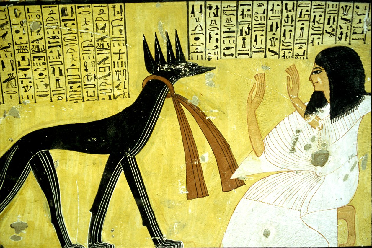 Antico Egitto, pittura murale Tomba di Inherkhau, Tebe, Tomba dei Nobili, XX dinastia, Inherkhau che adora gli dei sciacallo da School Egyptian