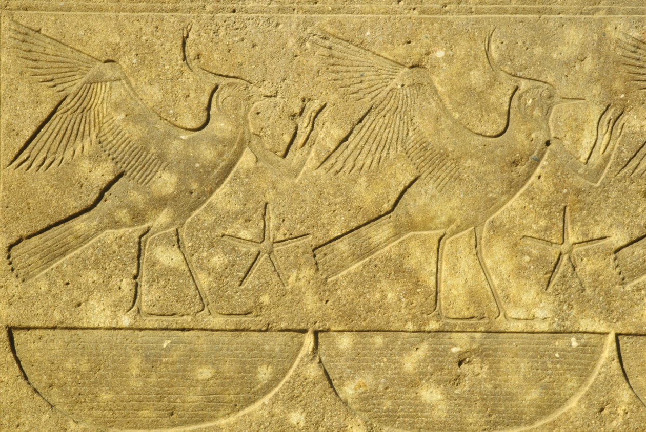 Antico Egitto, Pittura/incisione murale, Allodole, che rappresentano le varie tribù d