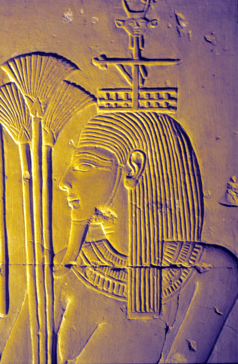 Antico Egitto, Pittura/scultura murale, Dio del Nilo porta offerte di fiori di loto, Tempio di Seti I, Abydos da School Egyptian