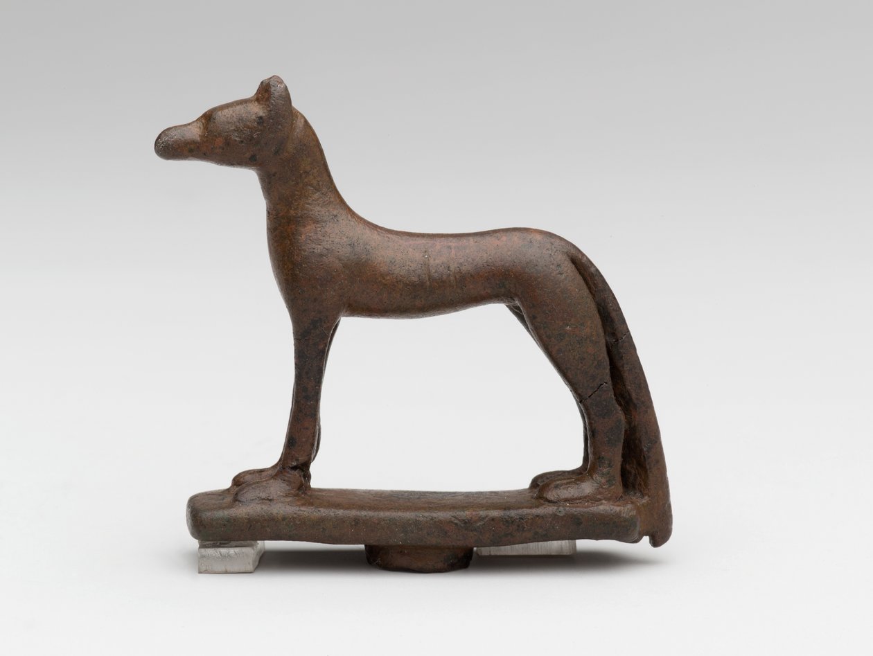 Sciacallo o cane (bronzo) da School Egyptian