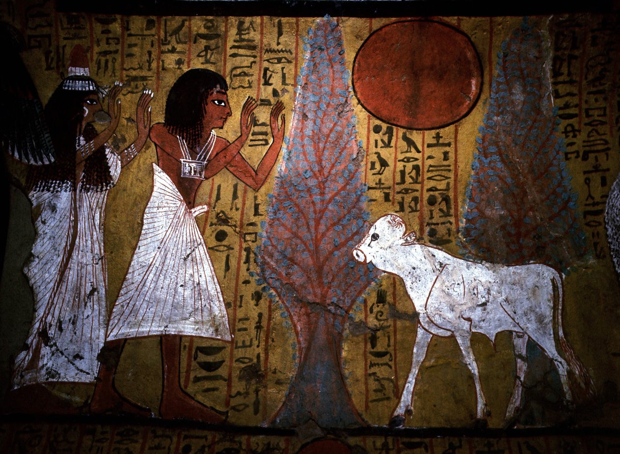 Luxor - Tebe: Riva sinistra del Nilo. Sito di DEIR EL MEDINEH: Villaggio e necropoli degli artigiani. (dettaglio) da School Egyptian