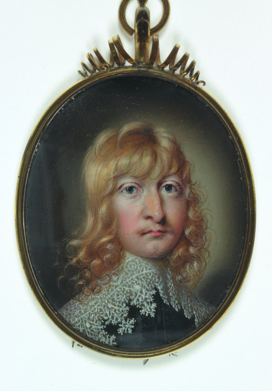 Un gentiluomo chiamato William Cavendish da School English