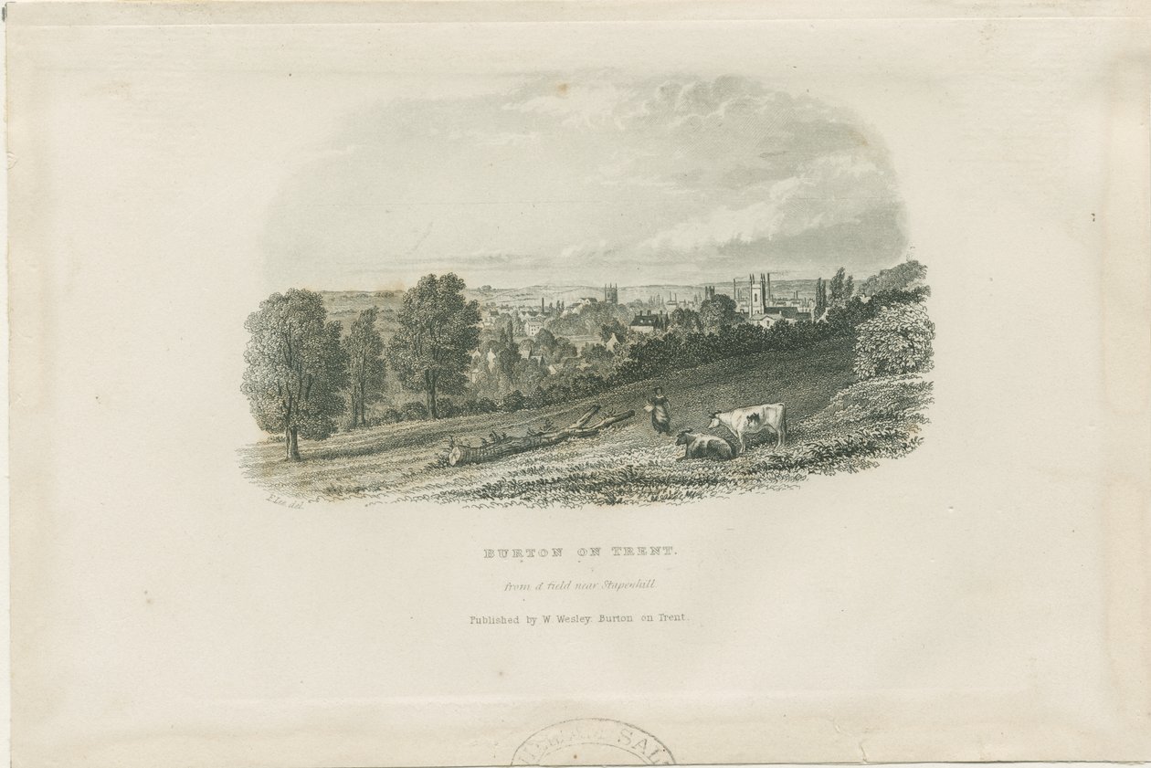 Ponte e città di Burton-upon-Trent (incisione su acciaio) da School English