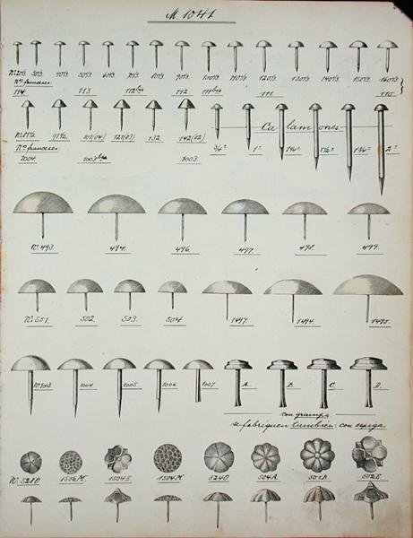 Chiodi, puntine e spilli, da un catalogo commerciale di beni e accessori domestici, c.1890-1910 da School English