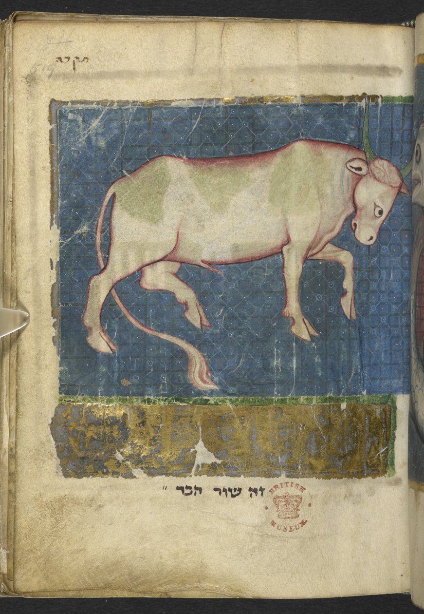 Un toro, da una Miscellanea di testi biblici e altri (