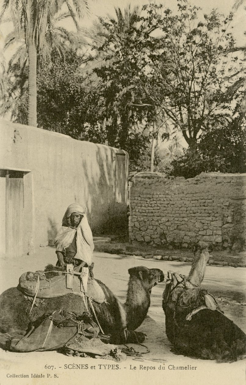 Le Repos du Chamelier, c.1890-1914 (foto b/n) da School French