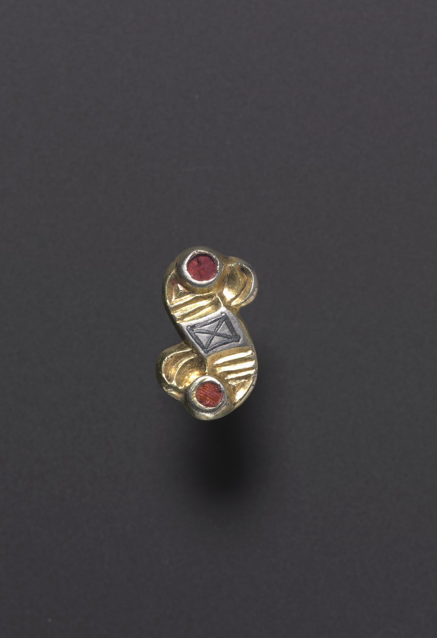 Fibula d