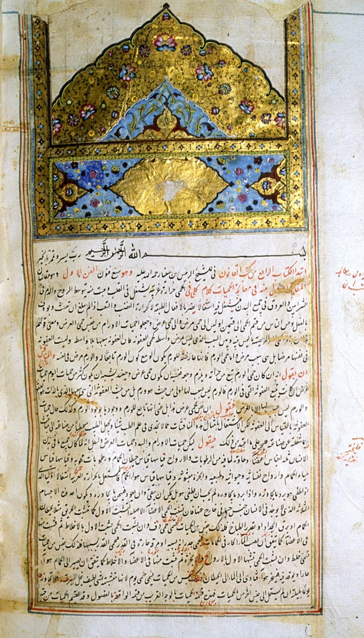 Pagina dal Canone della Medicina (al-Qānūn fī aṭ-Ṭibb) di Avicenna da School Iranian