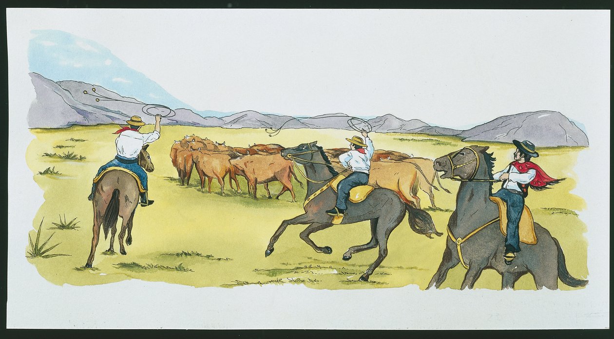 Argentina - gauchos che radunano il bestiame nelle Pampas da School Italian