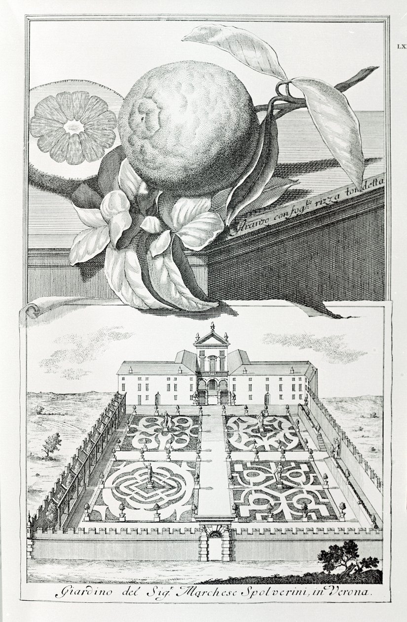 Villa del Marchese Spolverini di Verona, da "Ville, Giardini e Paesaggi a Venezia" di A. Volkamer da School Italian