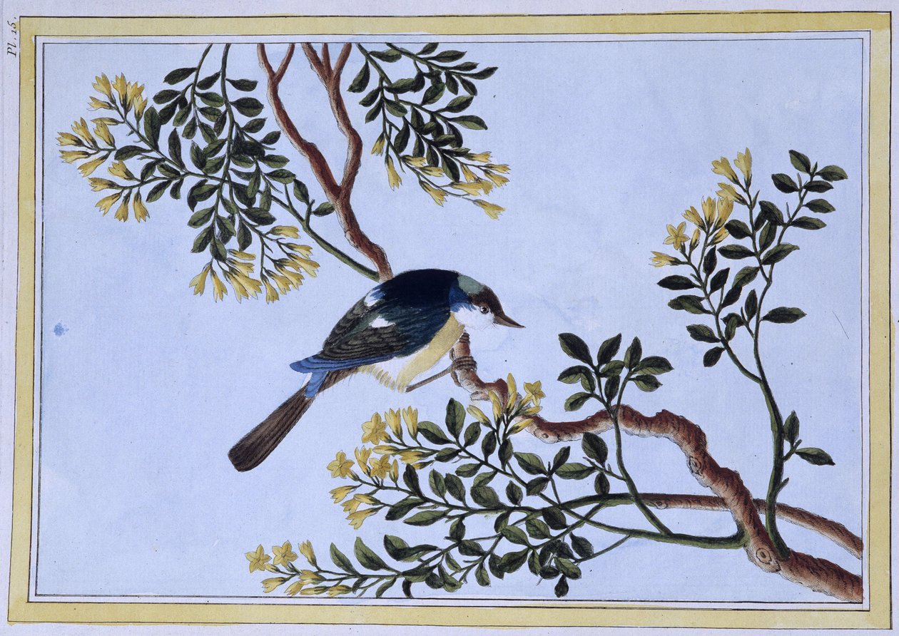 Uccello - stampa giapponese da Japanese School