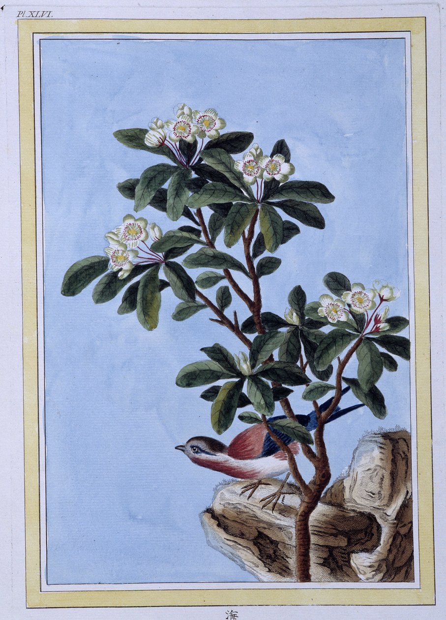 Uccello - stampa giapponese da Japanese School