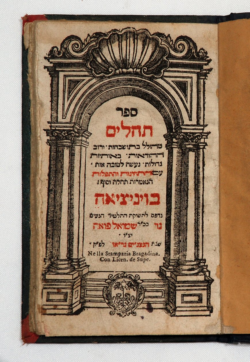Libro di Tehilim da School Jewish