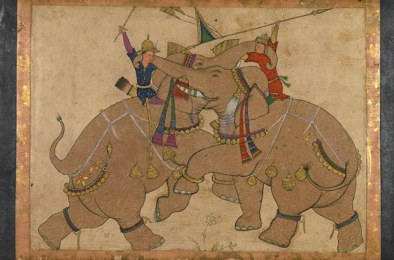 Combattimento di elefanti da School Mughal