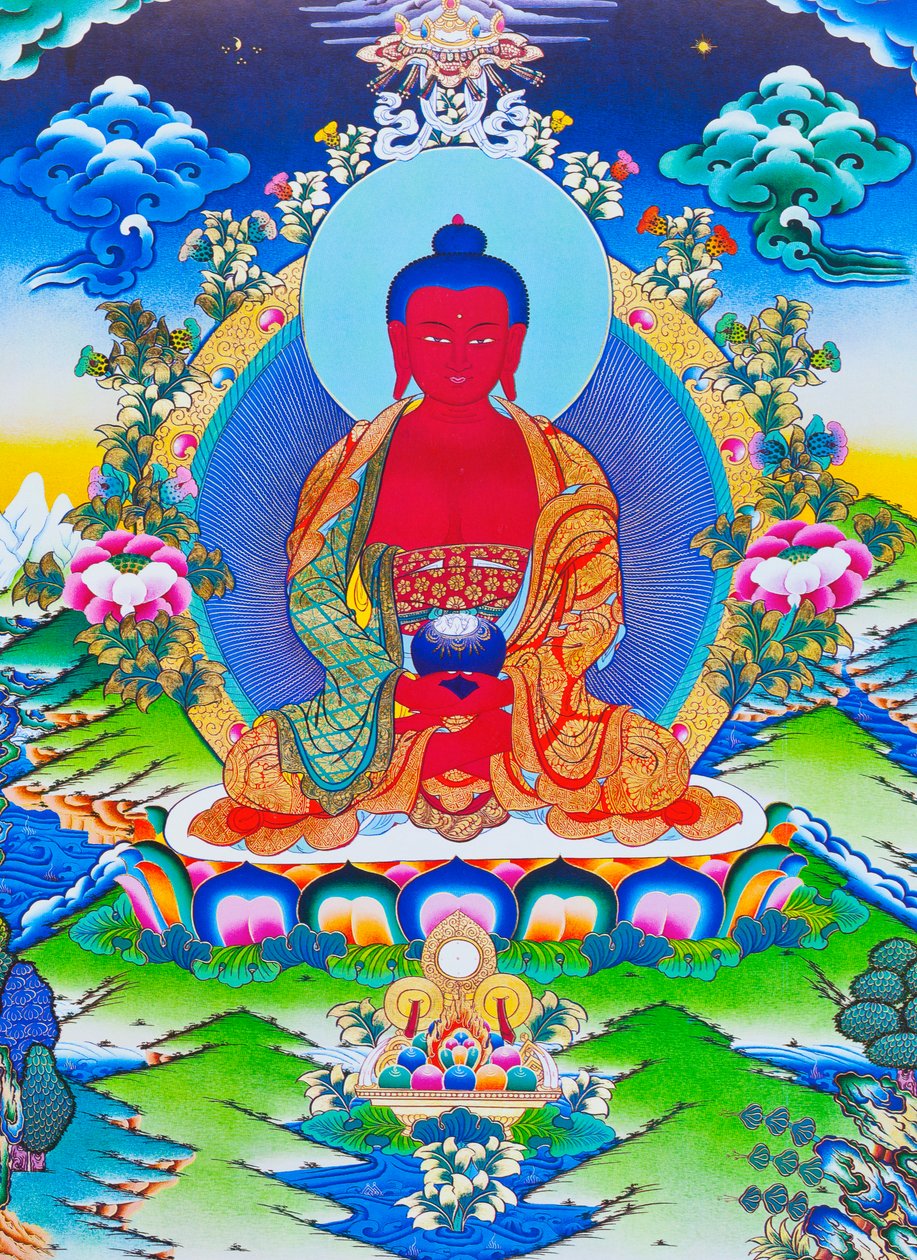 Immagine che raffigura Amitabha Buddha seduto su un loto da School Nepalese