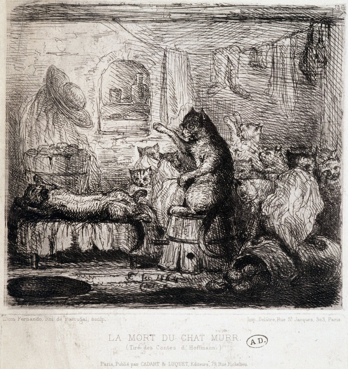 La morte del gatto Murr (dai racconti di Hoffmann) - Disegno, Portogallo da School Portuguese