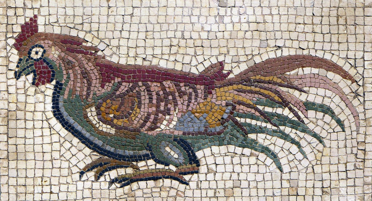 Gallo multicolore dal pavimento di una villa romana in Tunisia da School Roman