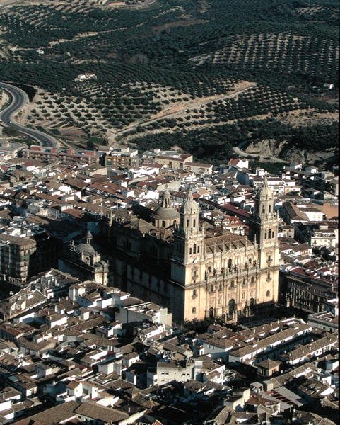 Vista aerea della Cattedrale di Jaen da School Spanish
