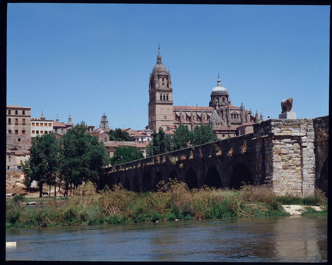 Vista del ponte romano sul fiume Tormes e cattedrale da School Spanish