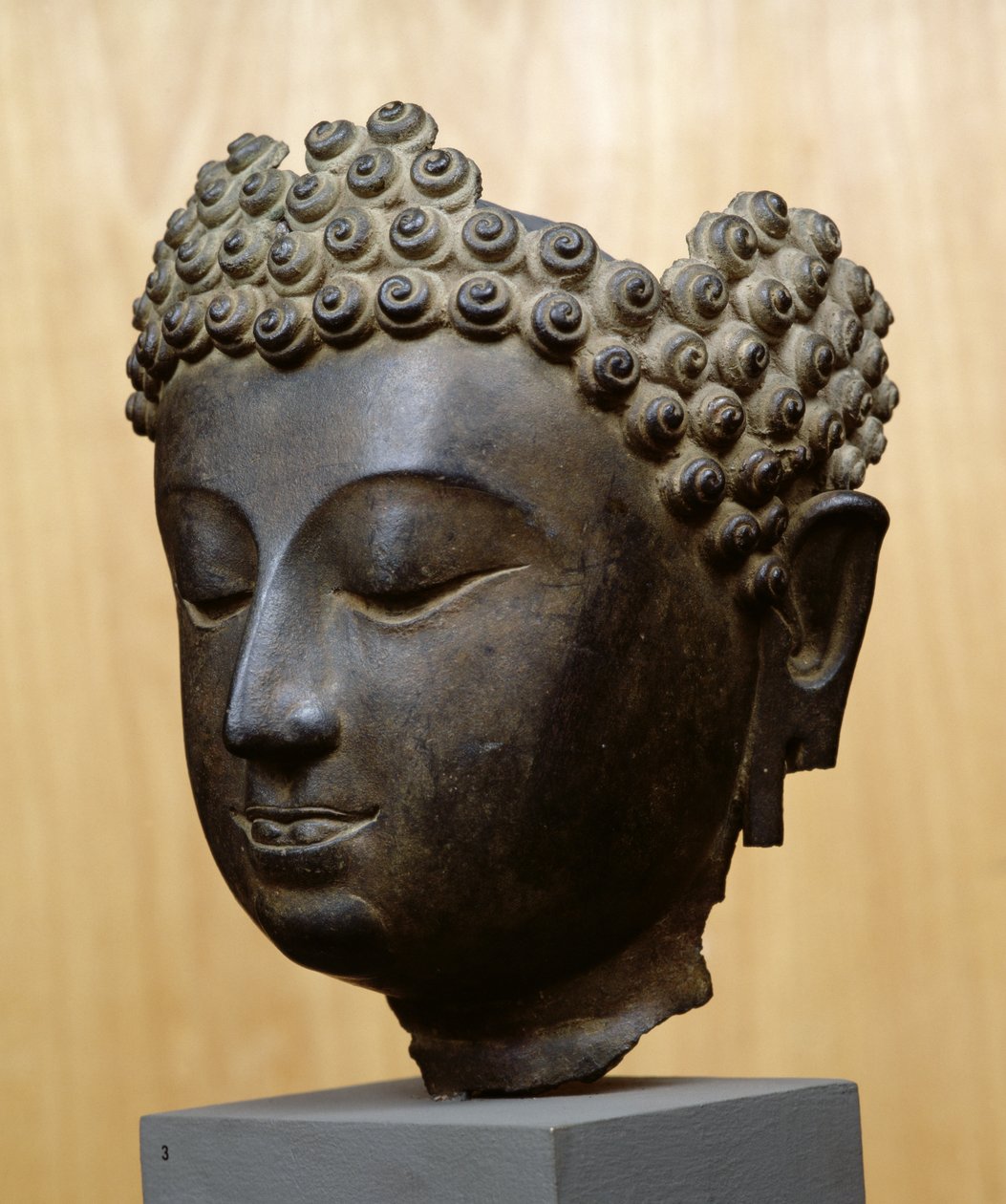 Testa di Buddha che guarda in basso, cultura Lan Na da School Thai