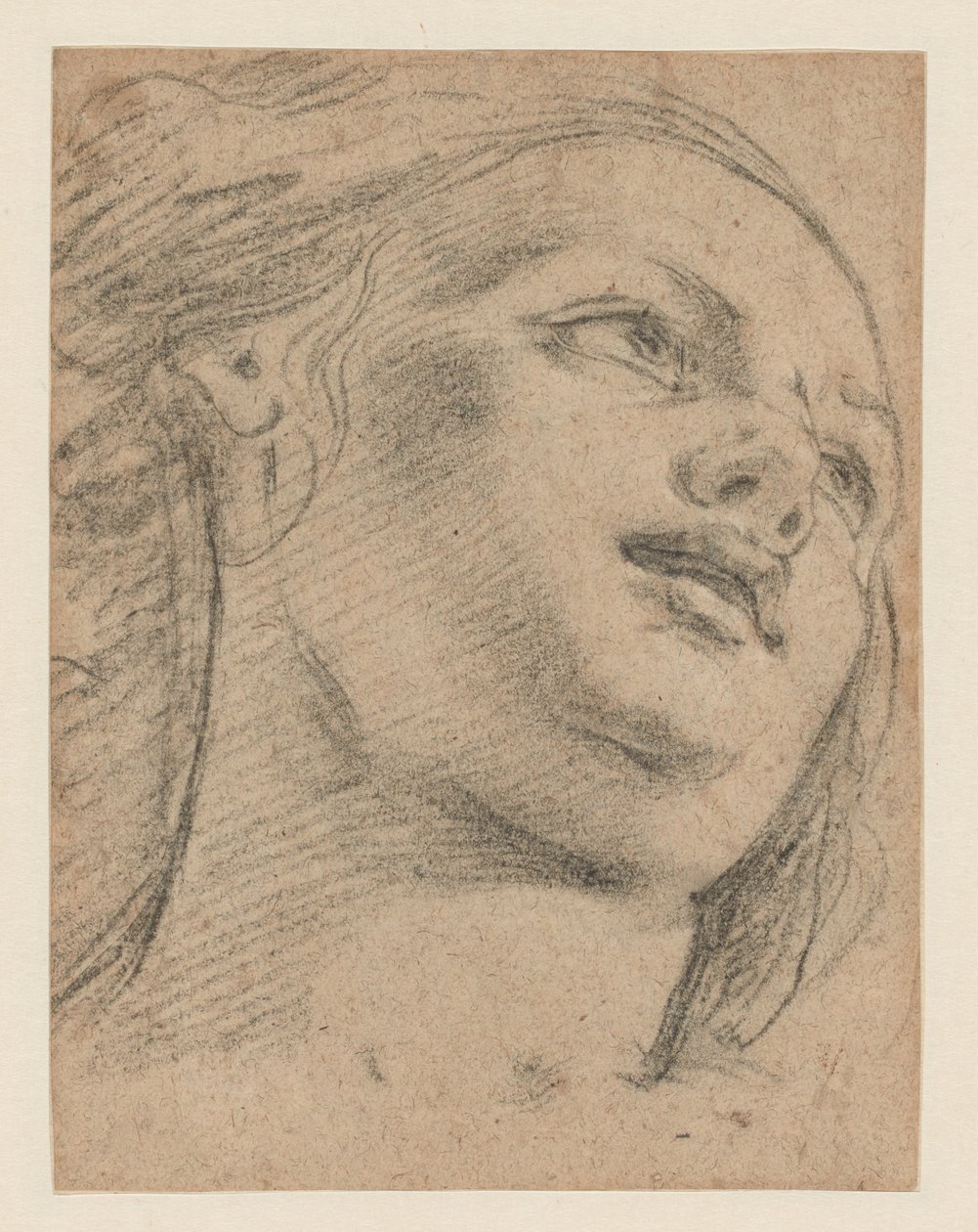 Studio di testa femminile guardando in alto a destra (recto); Studio di due figure che sostengono un oggetto (verso) da School of Guido Reni