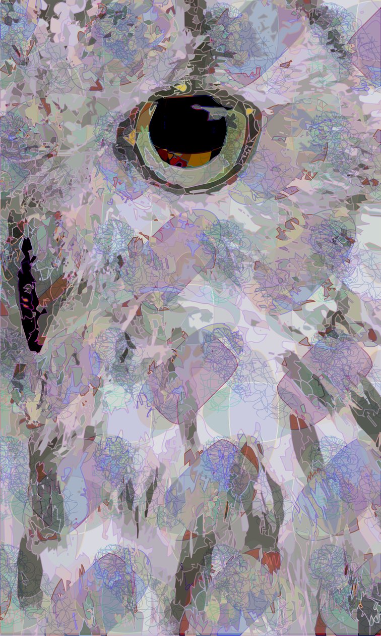 Gufo3 da Scott J. Davis
