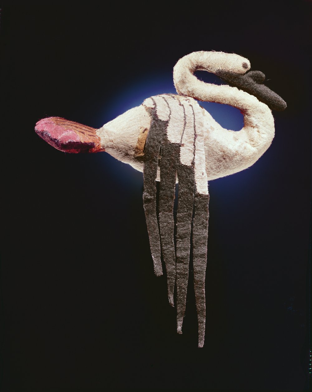 Cigno da Scythian