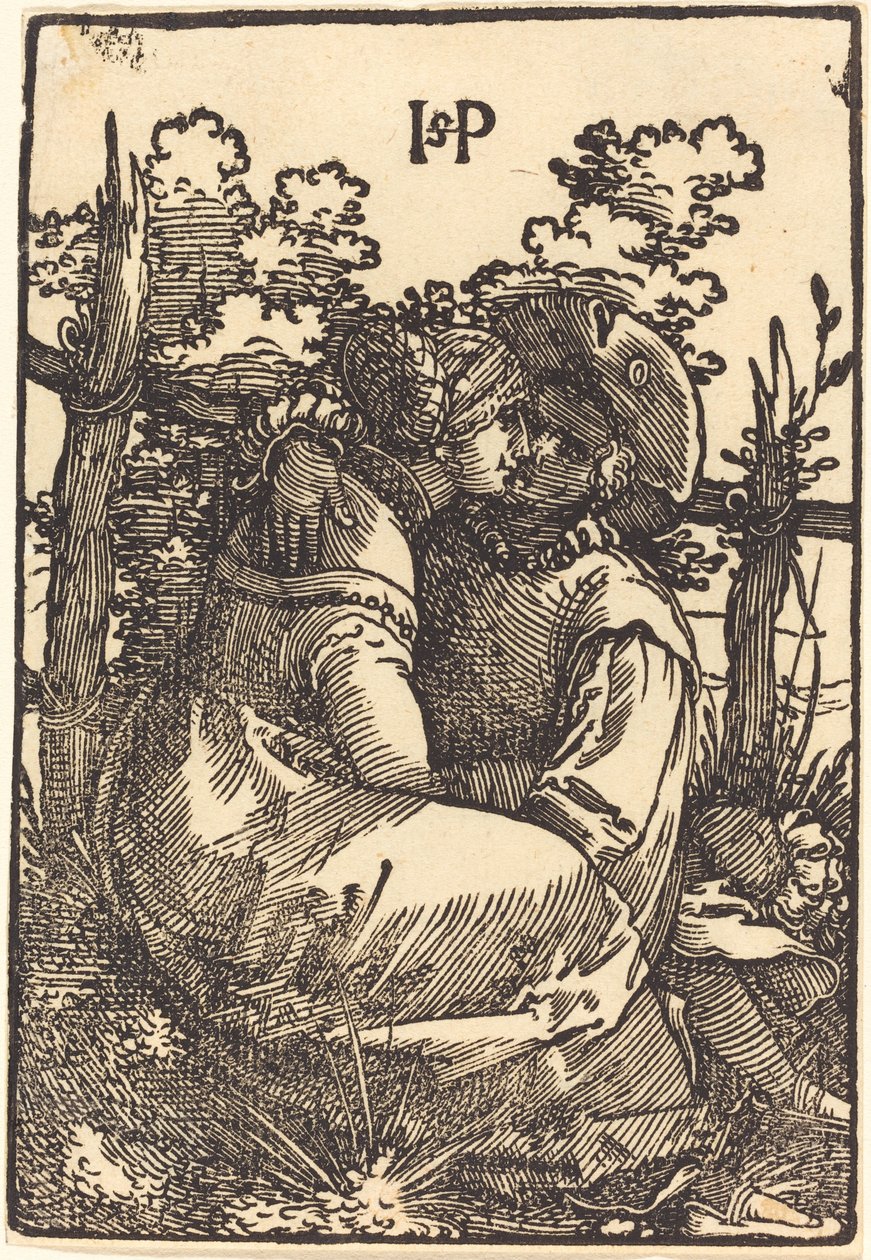 Amanti Vicino a una Recinzione da Sebald Beham