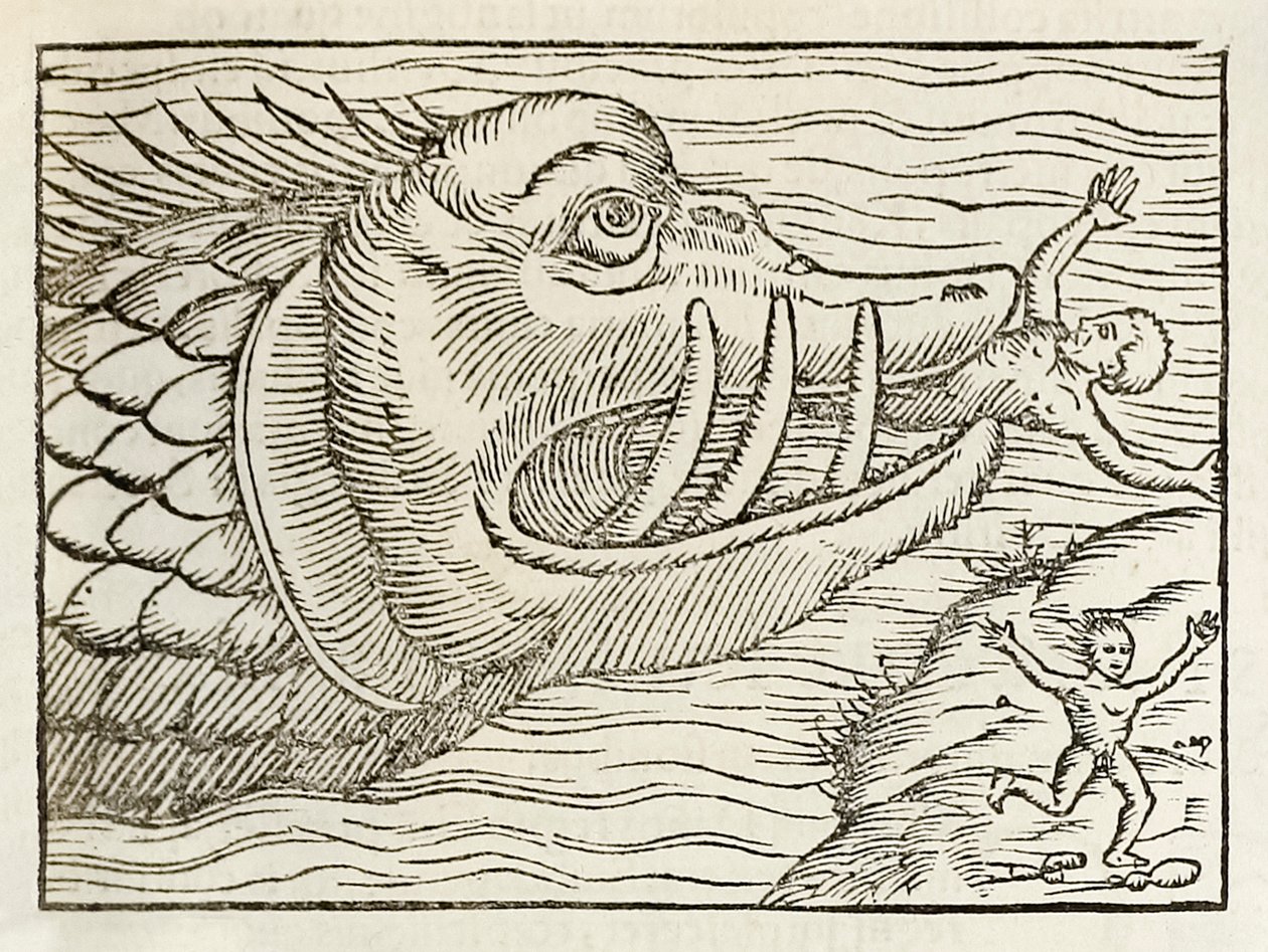 Balena mostruosa che divora umani, dall