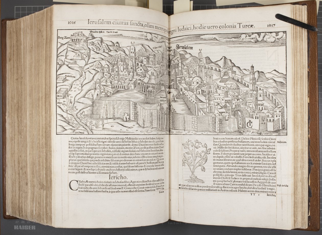 Cosmographia, Fol 1016-1017, 1544 da Sebastian Munster