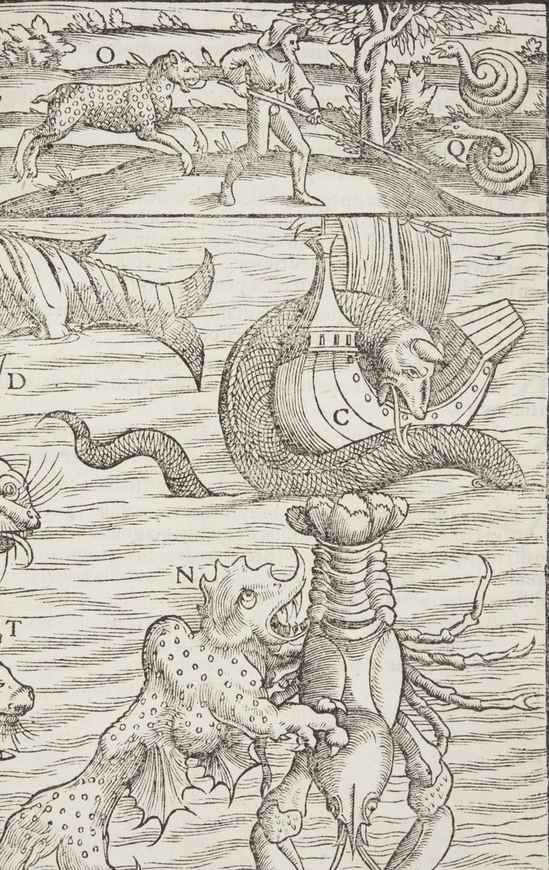 Cosmographia, Fol 853, 1544 da Sebastian Munster