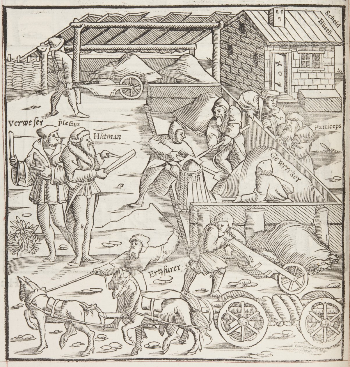 Cosmographia, (dettaglio) da Sebastian Munster
