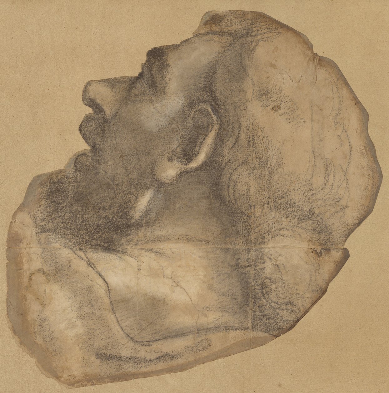 Vignetta dedicata al capo di San Giacomo da Sebastiano del Piombo