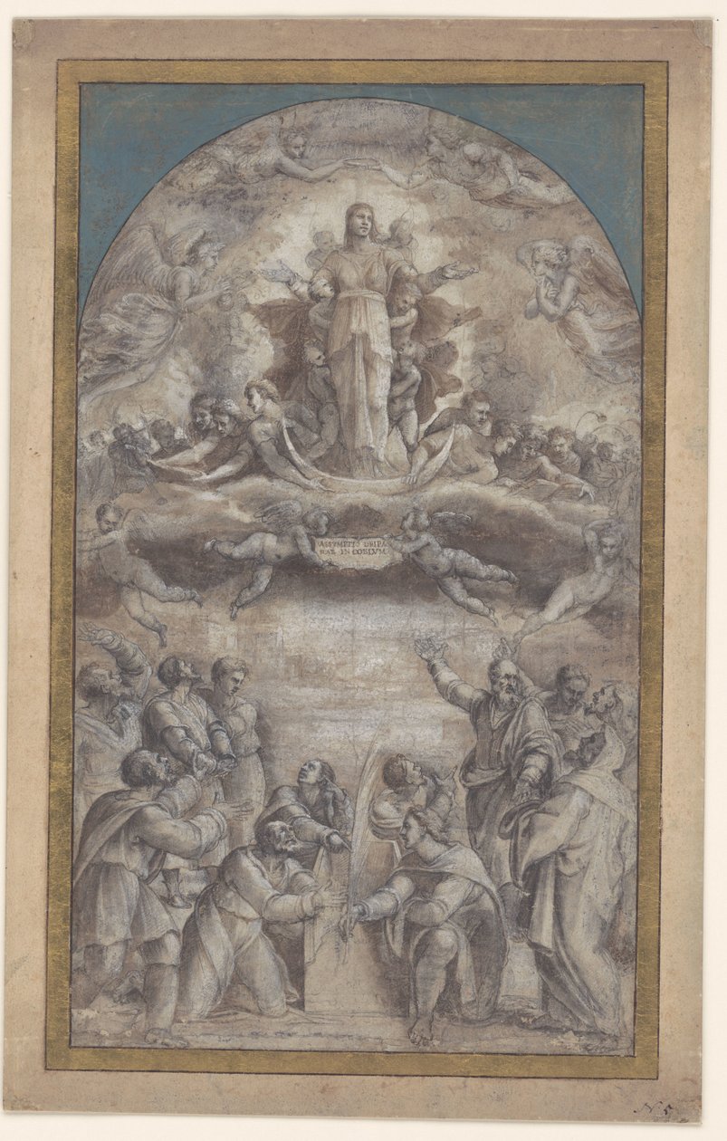 Ascensione di Maria da Sebastiano del Piombo