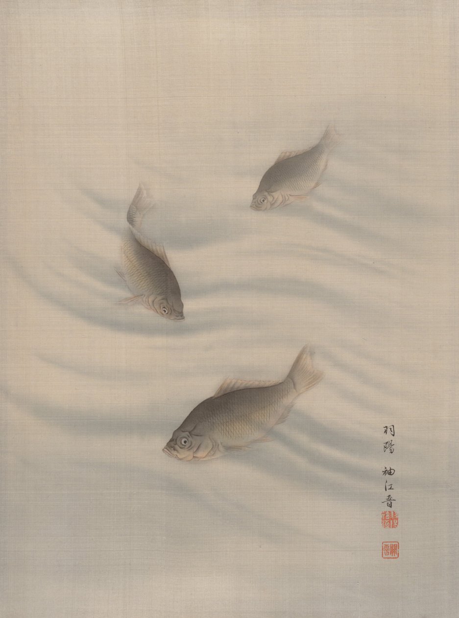 Pesci che nuotano, ca. 1890-92 da Seki Shuko