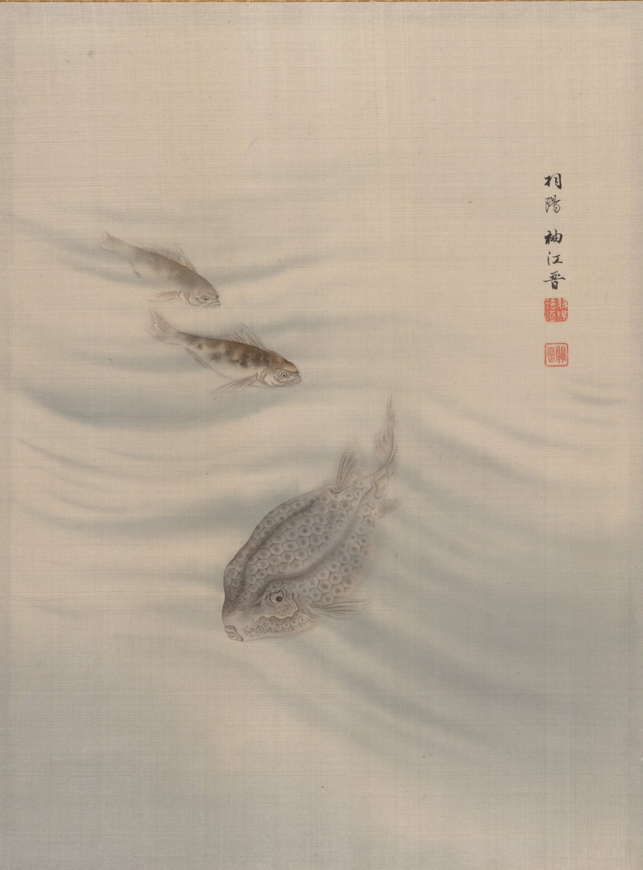 Pesci, ca. 1890-92 da Seki Shuko