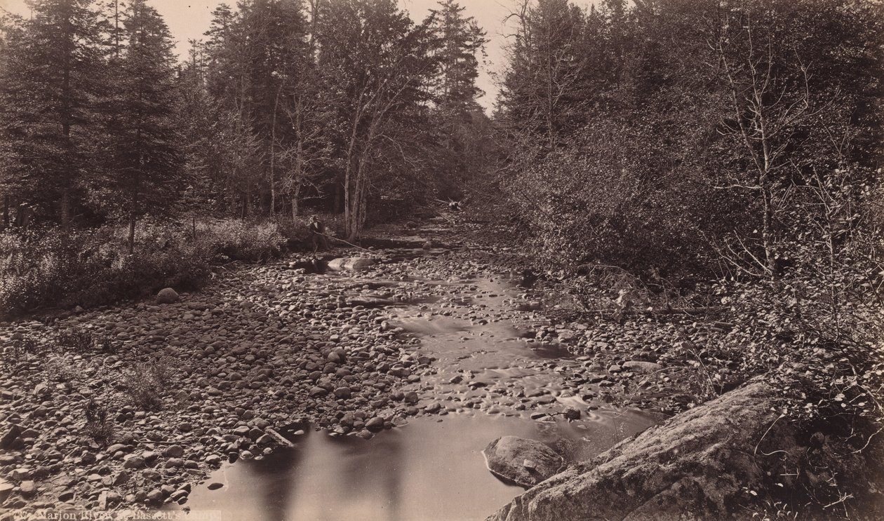 Fiume Marion al campo di Bassett da Seneca Ray Stoddard