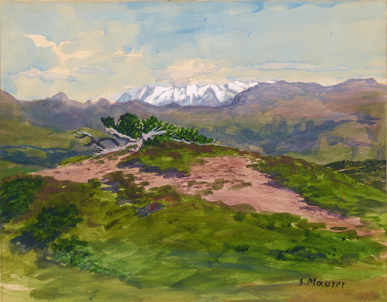 Sentiero escursionistico in montagna con vista sulle Alpi della Zillertal da Serafin Maurer