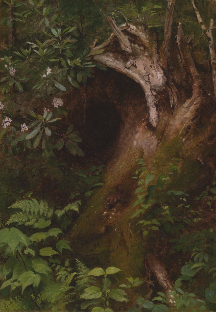 Lo scoiattolo da Seymour Joseph Guy