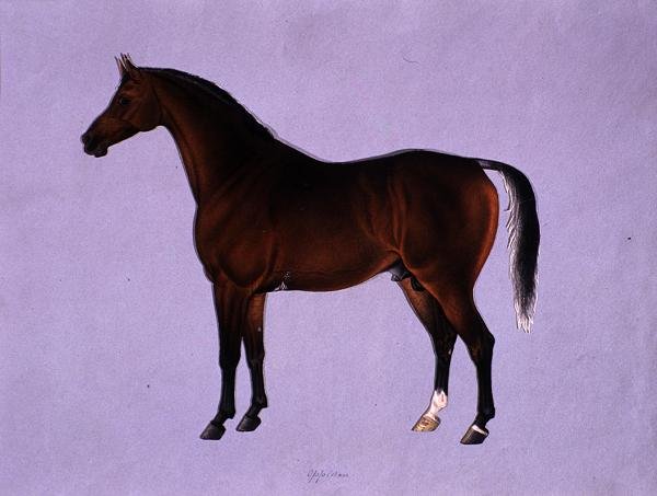Oppidan, c.1840 da Shaik Muhammad Amir of Karraya