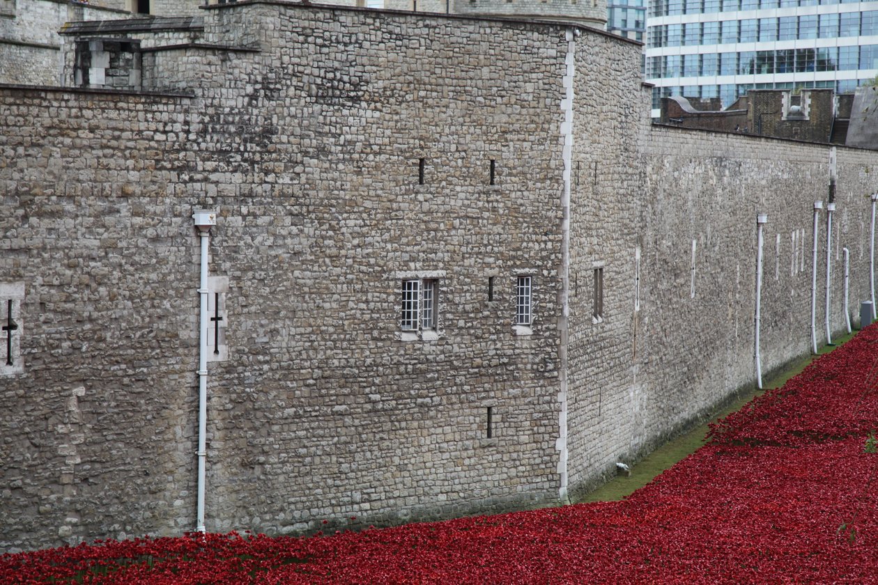 Terre e mari di sangue, Torre di Londra da Sheldon Marshall