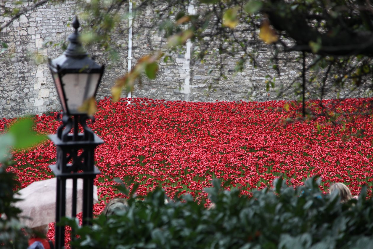 Terre e mari di sangue, Torre di Londra da Sheldon Marshall