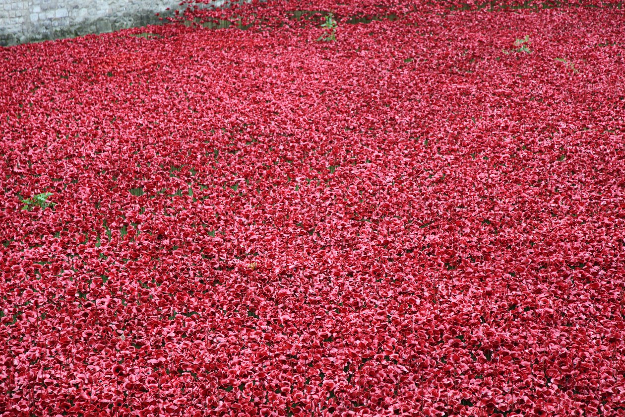 Terre e mari di sangue, Torre di Londra da Sheldon Marshall