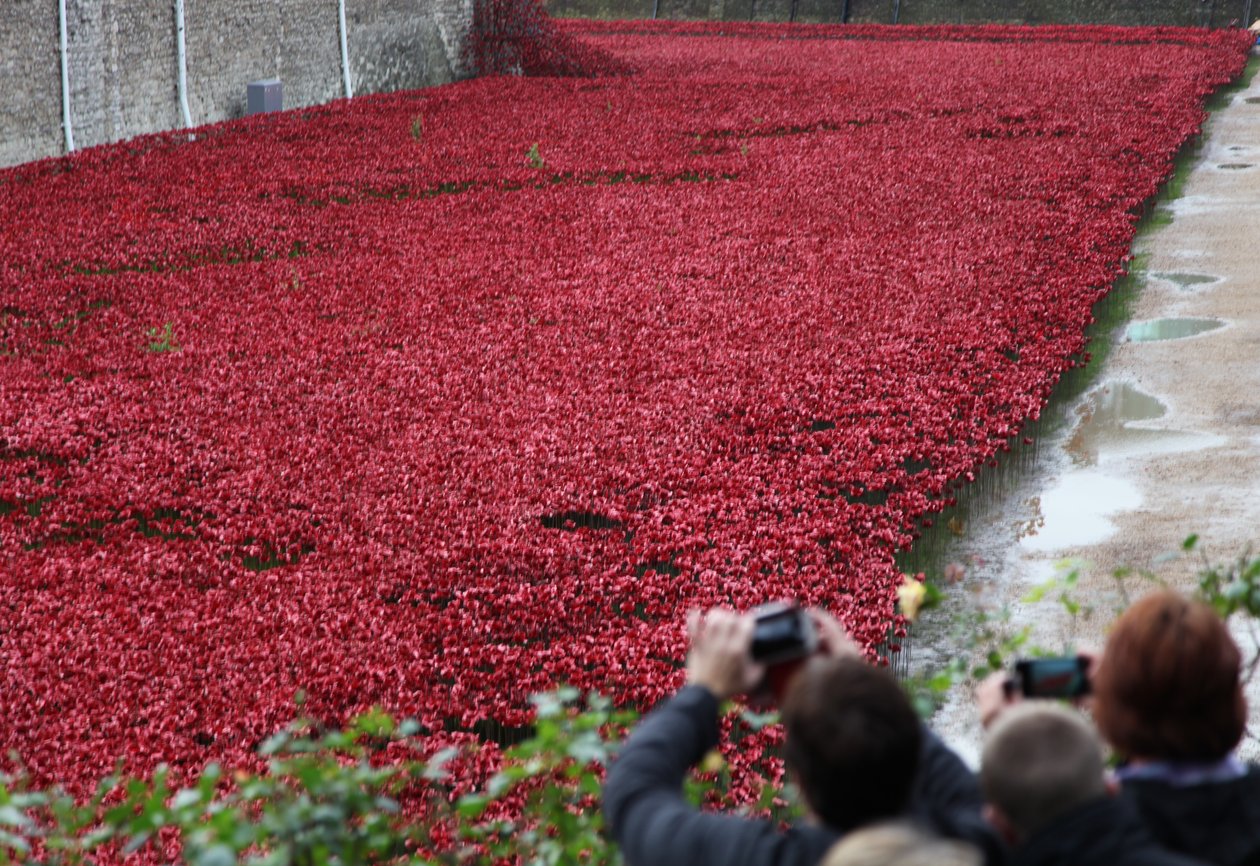 Terre e mari di sangue, Torre di Londra, 2014 da Sheldon Marshall