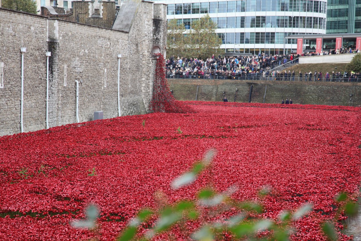 Terre e mari di sangue, Torre di Londra, 2014 da Sheldon Marshall
