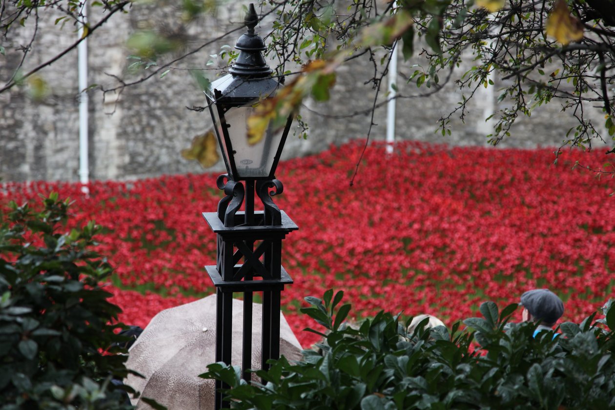 Terre e mari di sangue rosso, Torre di Londra da Sheldon Marshall